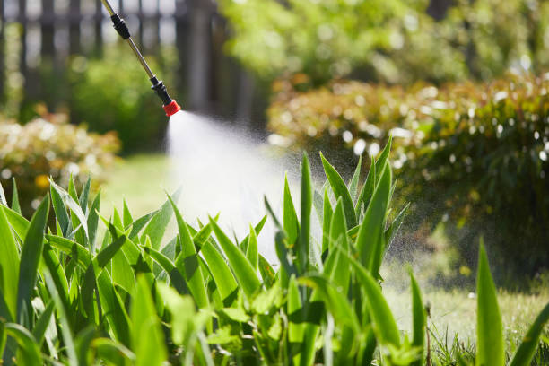 Tamper-Resistant Bait Stations for Rodents in Fair Oaks Ranch