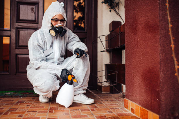 Attic and Crawl Space Rodent Treatment in Fair Oaks Ranch