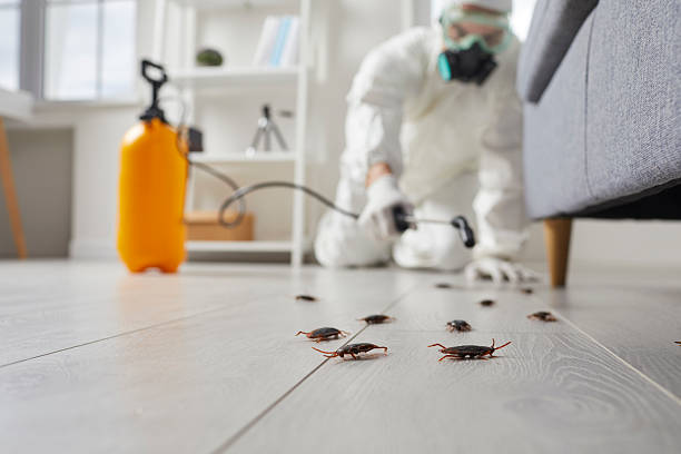 Commercial Rodent Management in Fair Oaks Ranch
